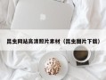 七台河昆虫网站高清照片素材（昆虫图片下载）
