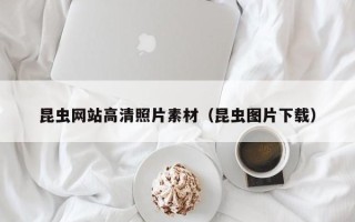 七台河昆虫网站高清照片素材（昆虫图片下载）